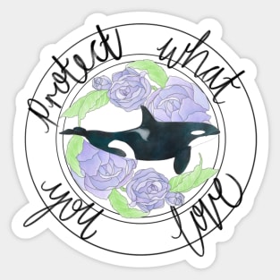 Protect What You Love Orca Sticker